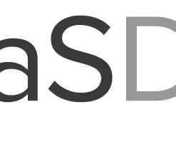 SaaS Direct Hosting Service
